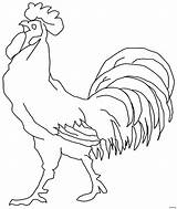 Chicken Coloring Printable Pages Rooster Getdrawings Color Kids Print Drawing Getcolorings sketch template