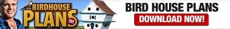 build  chickadee bird house   plans