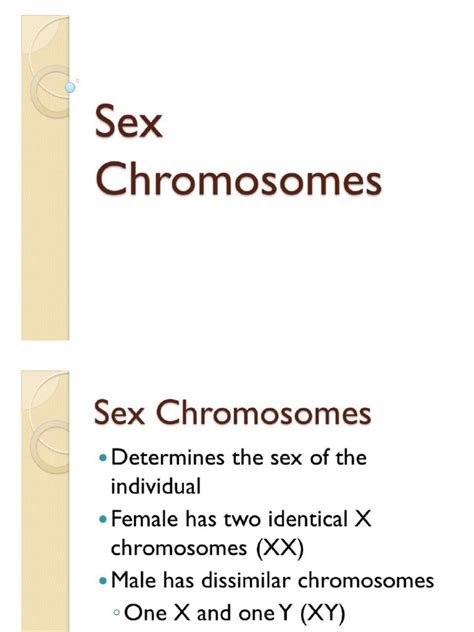 Sex Chromosome And Sex Determination Pdf