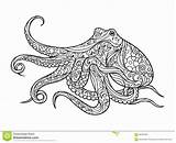 Coloring Pages Octopus Adults Animal Popular sketch template