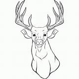 Coloring Pages Head Reindeer Deer Printable Popular sketch template