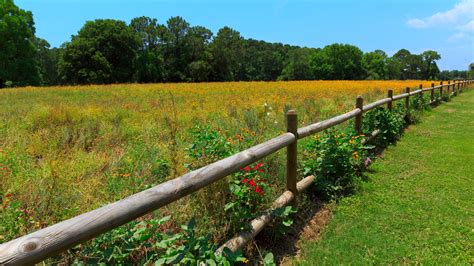 sea pines forest preserve park review conde nast traveler