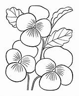Coloring Pages Flower Flowers Kids sketch template