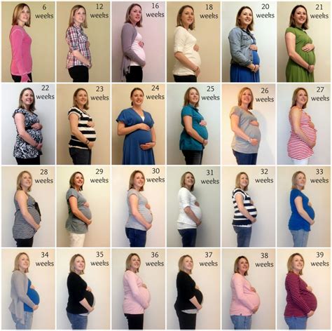 20 week pregnant belly progression pregnantbelly