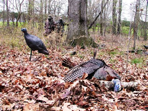 bow hunting turkey the ultimate challenge great days