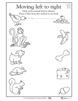 pet animals worksheets  kids worksheetocom