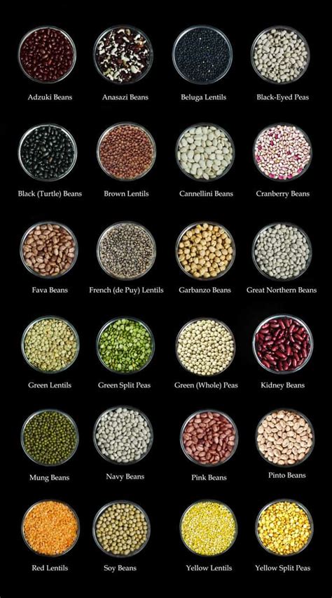 examples  legumes list mind  munch