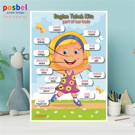 Jual Gambar Edukasi Anak Mengenal Anggota Tubuh Bilingual Poster Seri