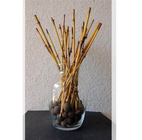 glass vase filled  bamboo sticks homebnc