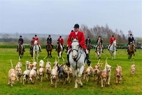 scent trail hunt excites crowds  traditional boxing day meet    poor weather
