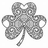 Shamrock Coloring Pages Clover Trinity Leaf Holy Celtic Printable St Ireland Four Color Irish Patricks Print Template Drawing Patrick Adult sketch template