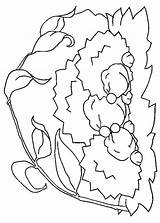 Igel Ausmalbild Egel Ricci Kleurplaten Igelfamilie Winterschlaf Hedgehogs Malvorlage Egels Puercoespin Colorat Erizo Riccio Boucle Arici Animale Mewarnai Landak Animasi sketch template