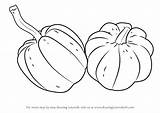 Drawing Draw Pumpkins Step Gourd Squash Tutorials Pumpkin Fruits Getdrawings Learn sketch template