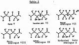 Dipeptide Peptide Bond Acids Linked Amino Following Sketch Rules Worksheet School High Template Worksheeto sketch template