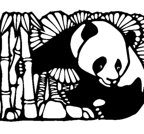 panda  bamboo coloring page coloringcrewcom