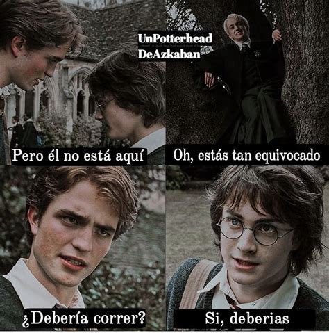 memes de harry potter en español funny memes
