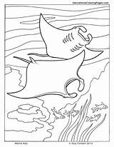 Coloring Pages Ocean Sea Printable Stingray Kids Ray Manta Colouring Book Seashore Life Animal Cuttlefish Color Clipart Animals Sheets Getcolorings sketch template