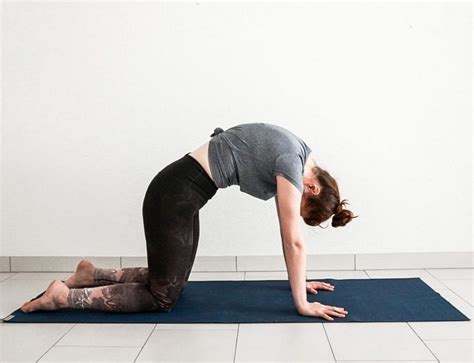 yoga blocks  yoga bricks     commonly  yoga