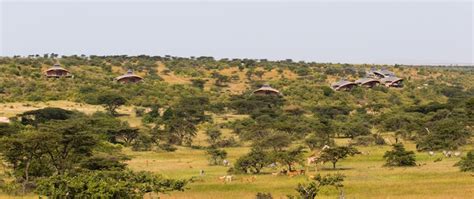 grab  christmas season offers  kenyan safari   mahala mzuri   place