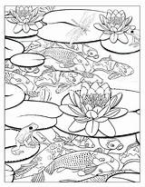 Coloring Pages Pond Koi Fish Waterfall Drawing Colouring Ecosystem Ponds Adult Printable Book Template Color Getdrawings Getcolorings Lotus Sketch Flower sketch template