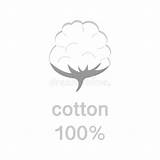 Cotone Coton Puro Pur Simbolo Vecteur Tessuto Percent Naturale Etichetta Cento Etichette sketch template