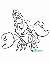 Sebastian Coloring Mermaid Little Pages Disney Printable Flounder Ariel Scuttle Drawing Clipart Clip Disneyclips Ursula Flotsam Library Book Jetsam Sebastians sketch template