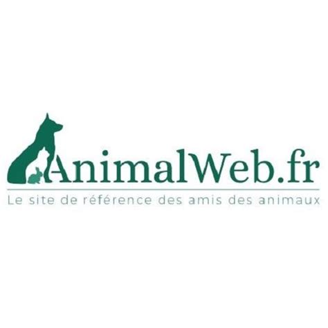 spa de macon refuge pour animaux en france animalweb