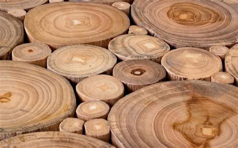 facts  teak wood       furniture options