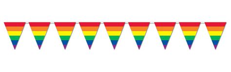 Gay Pride Rainbow Pennant Flags Adult Theme Party