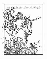 Unicorn Pages Fancy Template Coloring sketch template