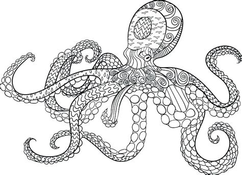 octopus coloring page printable  getdrawings
