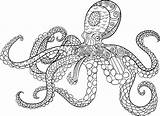 Octopus Coloring Pages Printable Animal Cuttlefish Dr Color Adults Drawing Mandala Adult Zentangle Vector Getdrawings Print Getcolorings Tattoo Therapy Wall sketch template