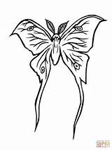Moth Coloring Papillon Motte Ausmalbild Lune Sketch Gratuit Kategorien sketch template