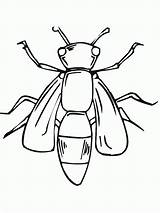 Insects Coloring Color Pages Print sketch template