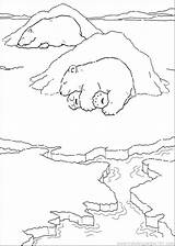 Bear Sleeping Coloring Getcolorings Printable sketch template
