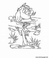 Coloring Timon Pumbaa Pages A2de Bath Take Colorear Para Pumba Lion King Printable Library Clipart Popular Coloringhome Comments sketch template