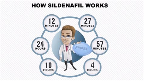 How Does Sildenafil Viagra Work 24 Hours Action Youtube