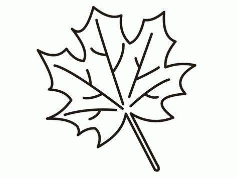leaves coloring pictures yahoo image search results leaf coloring