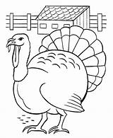 Turkey Coloring Pages Printable Kids Thanksgiving Farm Printables Easy Scenes Children Bestcoloringpagesforkids sketch template