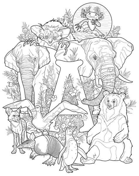 endangered animals brought  life   coloring book
