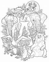 Endangered Pages Coloriage Kickstarter Artist Sheets Sauvage Mandalas Cleverpedia Especies Threatened Perforated sketch template