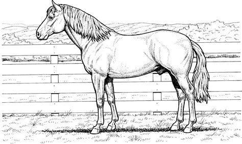 coloring pages  girls horse  coloring home
