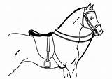 Horse Coloring Saddled Paard Ausmalbilder Pferde Sal Hest Med Bilde Fargelegge Kleurplaat Large Malvorlage Pferd sketch template
