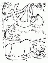 Dschungelbuch Mowgli Ausmalbilder Coloriages Livre Junglebook Kleurplaten Coloriage Selva Disneymalvorlagen Sauvages Kleurplaat Malbuch Dessin Jungs Disneykleurplaten Bagheera Gioca Dorme Disneydibujos sketch template