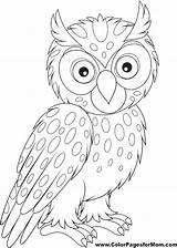 Coloring Owl Colorpagesformom Owls Back sketch template