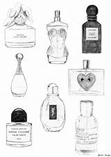 Perfume Bottle Parfum Drawing Dessin Perfumes Sketch Drawings Fragancias Illustration Fragrance Bouteille Choose Board Chanel Visit Tumblr sketch template