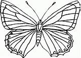 Mariposas Bonitas Butterflies Farfalle 10dibujos Coloring sketch template