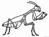 Coloring Pages Mantis Insect Coloring4free Printable Related Posts sketch template