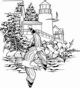 Coloring Pages Adults Printable Adult Landscape Lighthouse Colouring Print Color Books Seagulls Detailed Nature Naked Landscapes Sheets Coupons Work Difficult sketch template