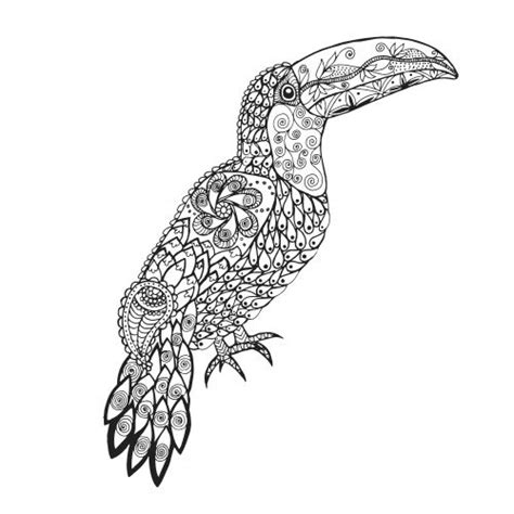 destress  toucan coloring page coloring head   tips